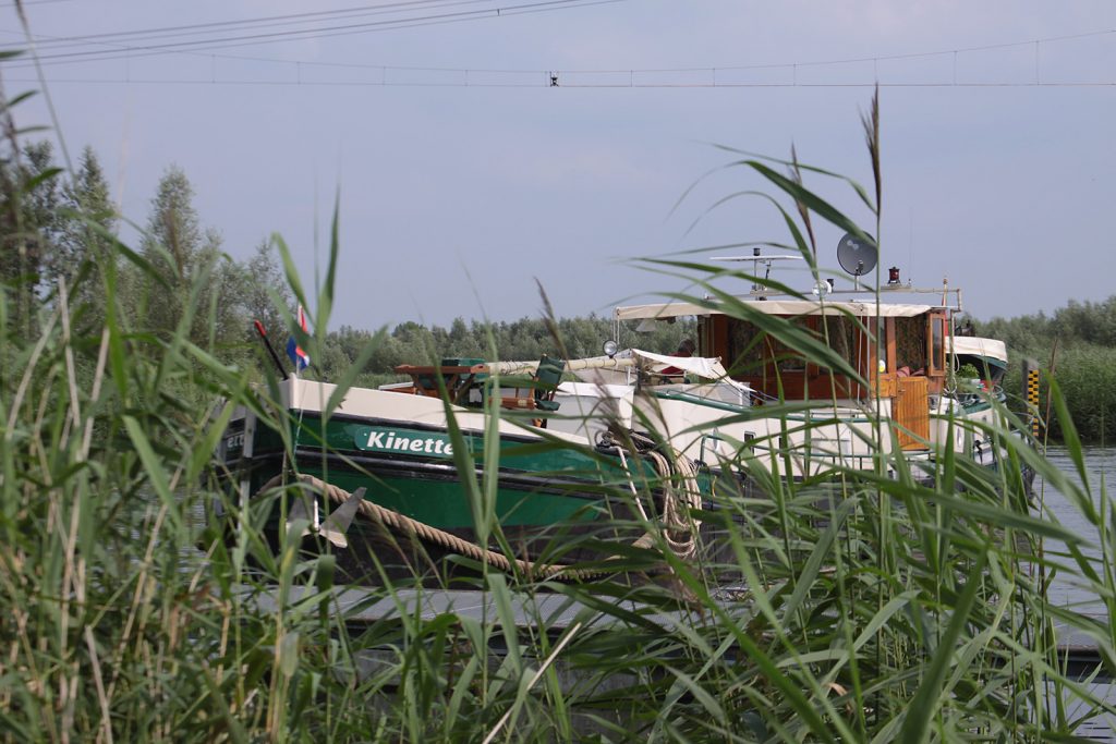 Im Biesbosch