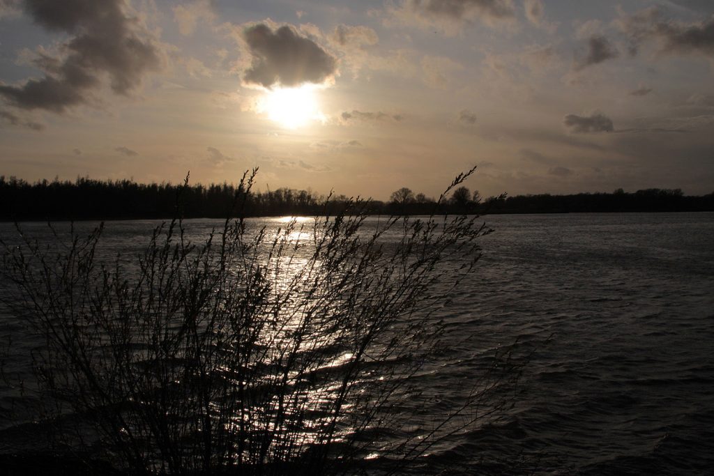 Sonnenuntergang am Rhein