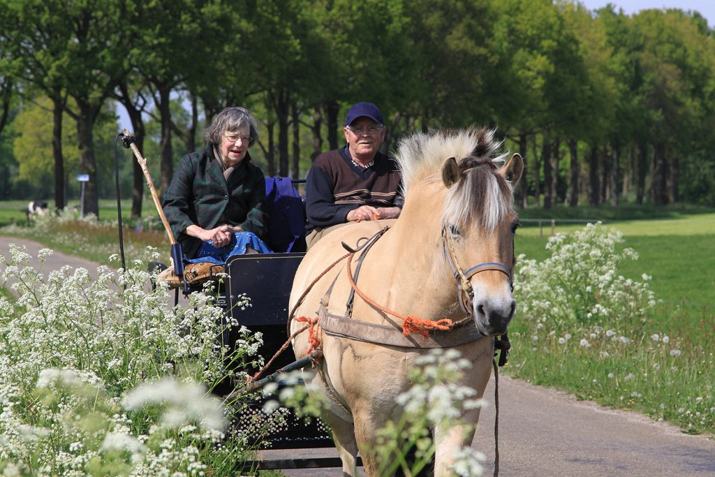 Sonntag auf dem Lande