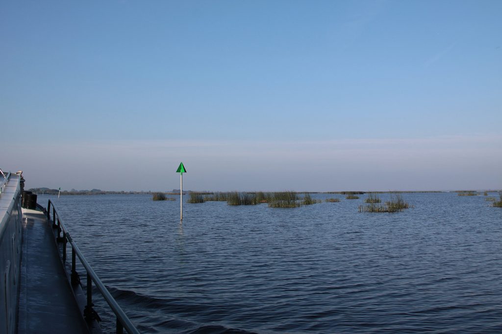 Im «Goot» zwischen Schilfgürtel und Vogelinsel