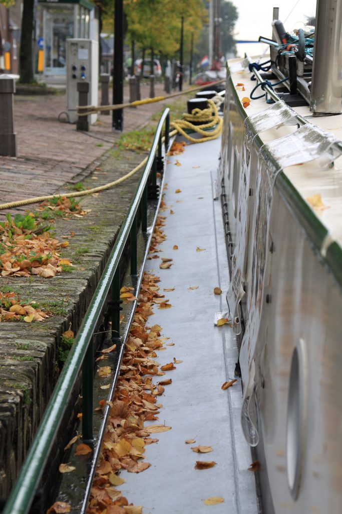 Der Herbst kündigt sich an