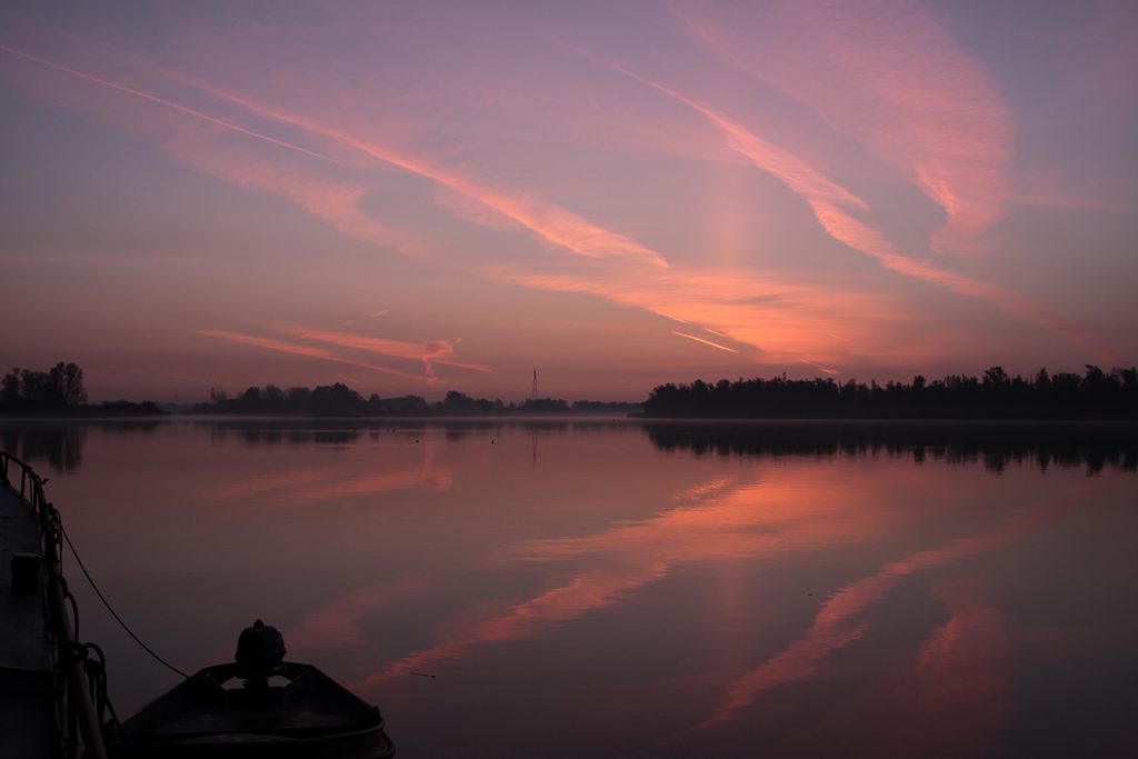 Ein neuer Tag dämmert im Biesbosch herauf