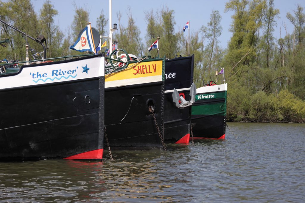 Im Biesbosch vor Anker