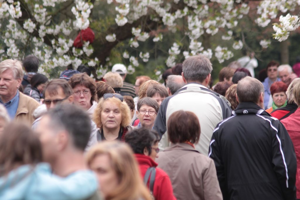 Man ist nicht unbedingt allein im «Keukenhof»