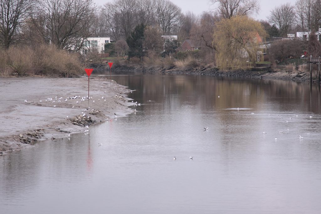 Die Hollandse Ijssel bei Niedrigwasser