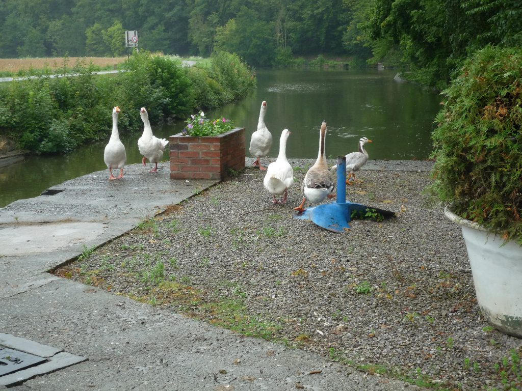 In einer Sambreschleuse (Bild Ruth Vögtlin)