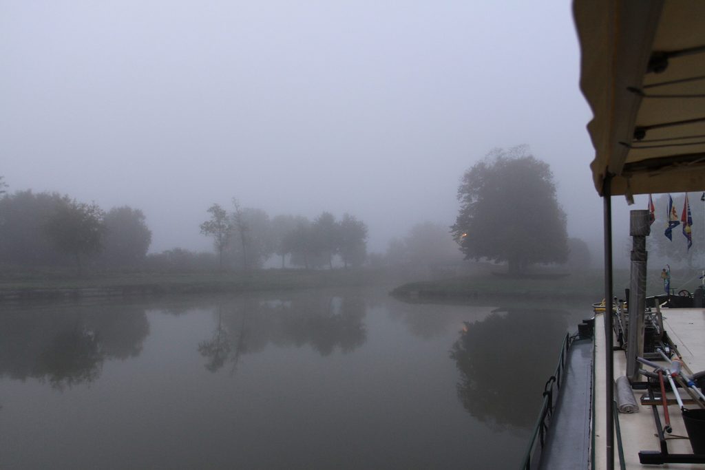 Morgennebel am Canal latéral à la Loire
