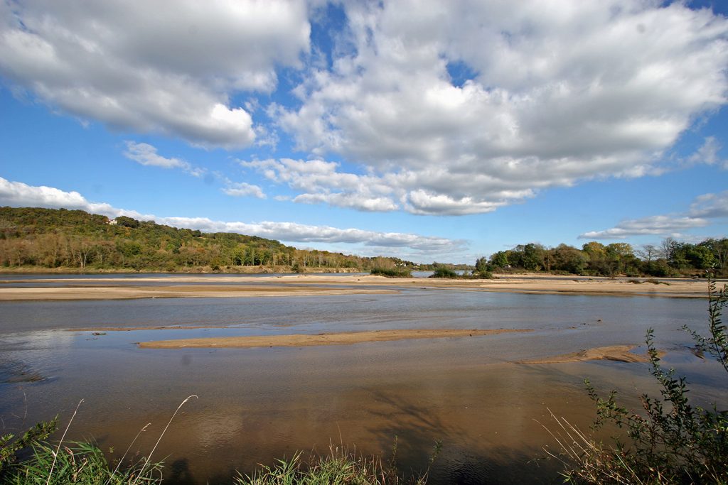 Zusammenfluss von Allier und Loire bei niedrigem Wasserstand