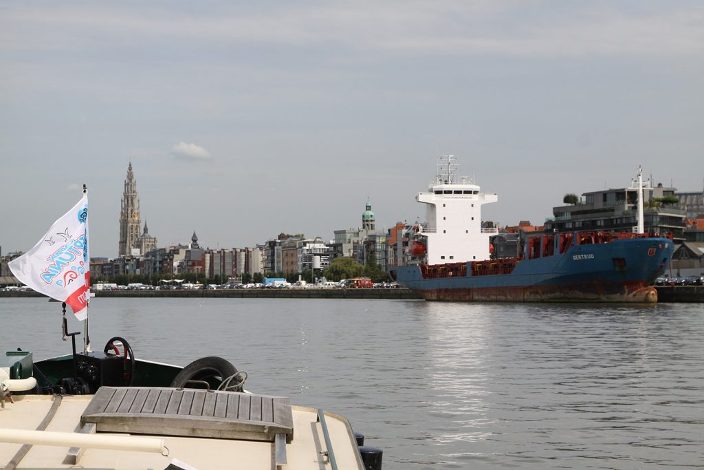 Einlaufen auf der Schelde in Antwerpen