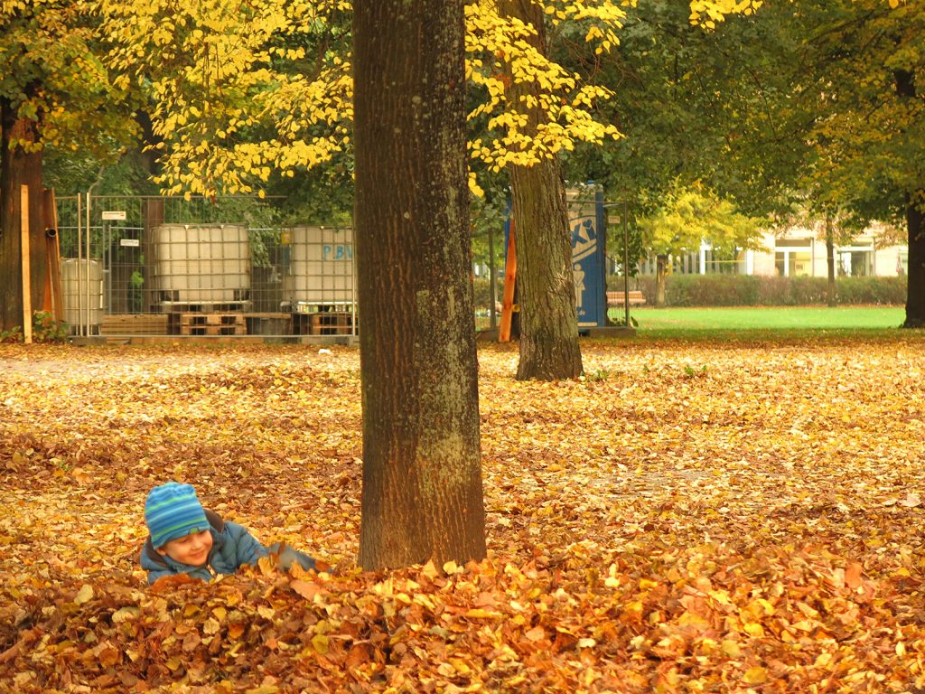 Herbst in Potsdam