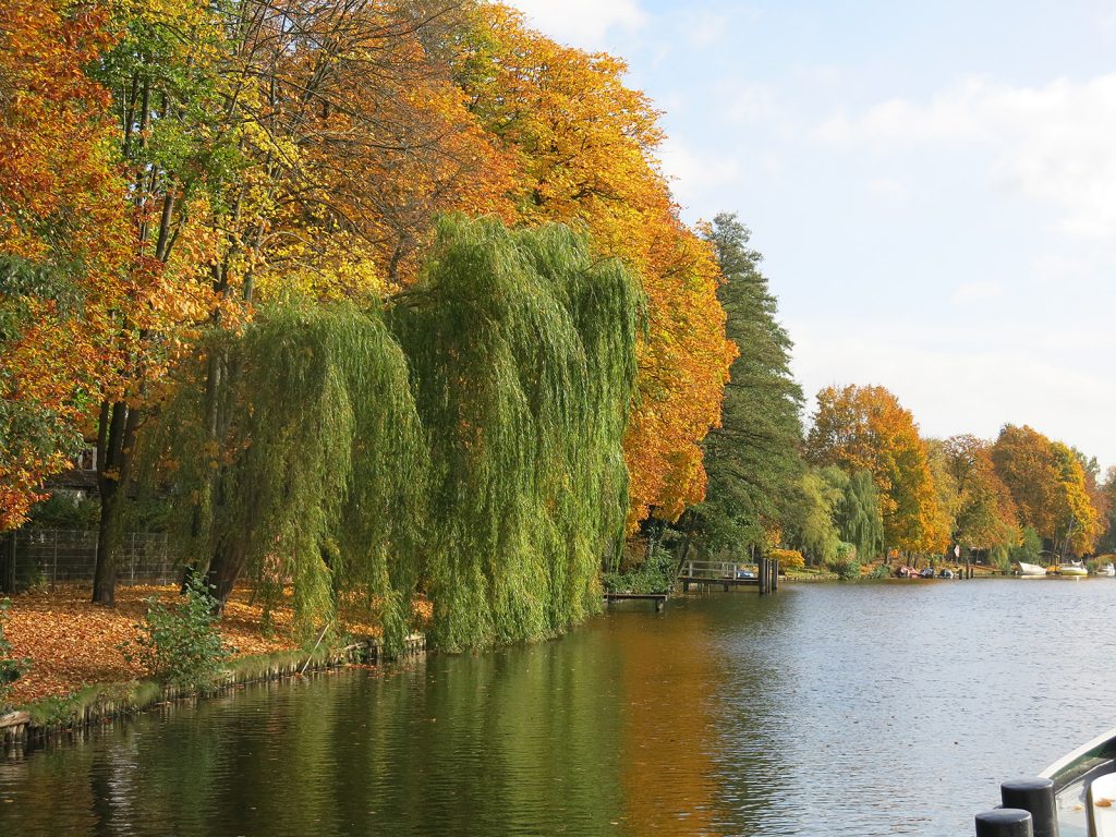 An der Dahme-Wasserstrasse