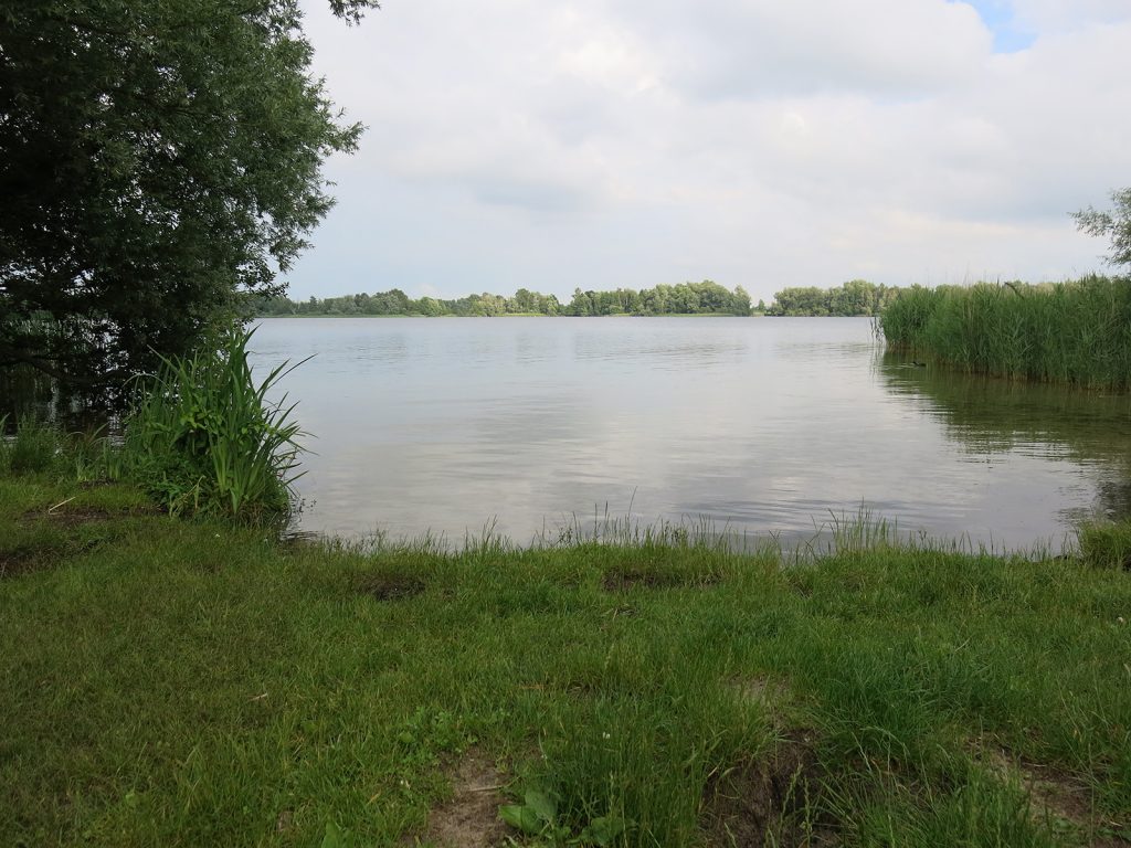 Ein kleiner Moorsee, der Spiegelplas