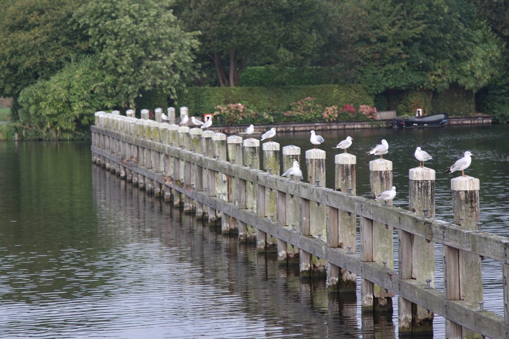 Anleger vor der Mijndensen Schleuse