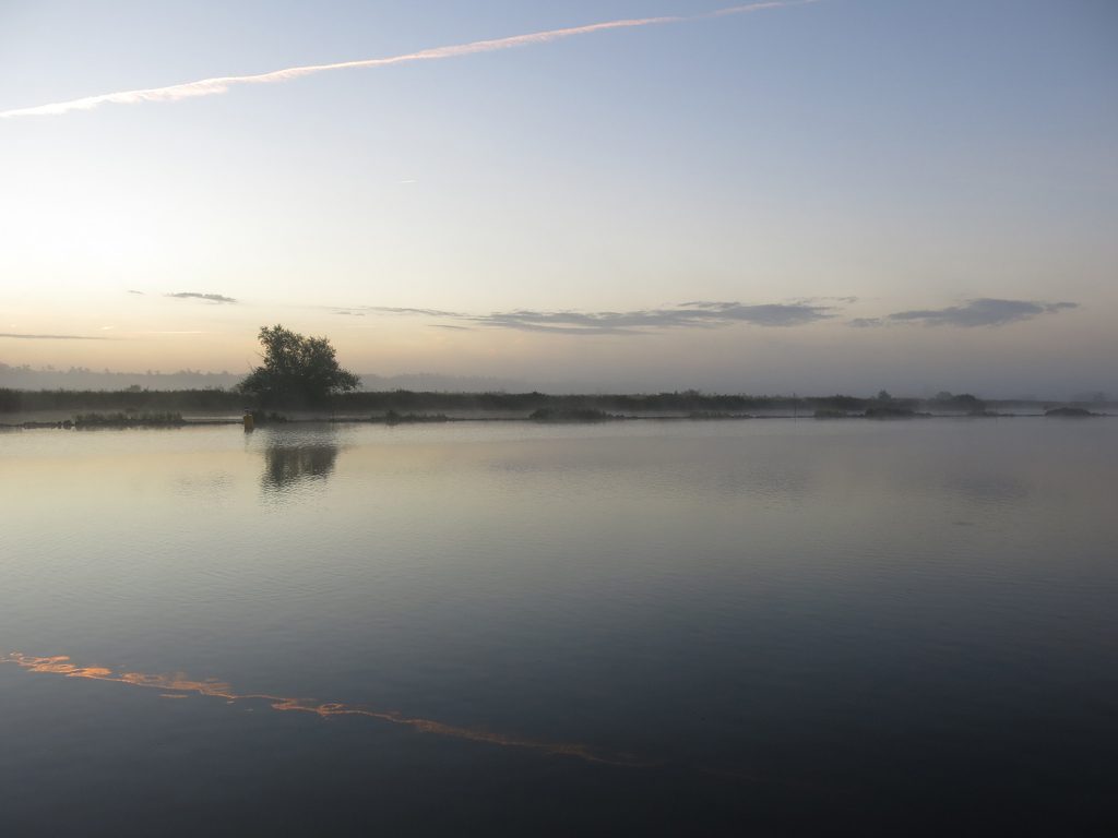 Morgenstimmung im Nationalpark Âlde Feanen