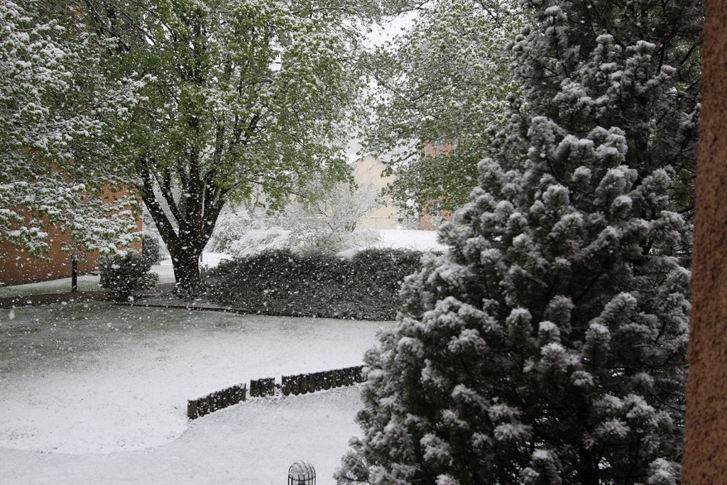 Mitte April im Zürcher Oberland