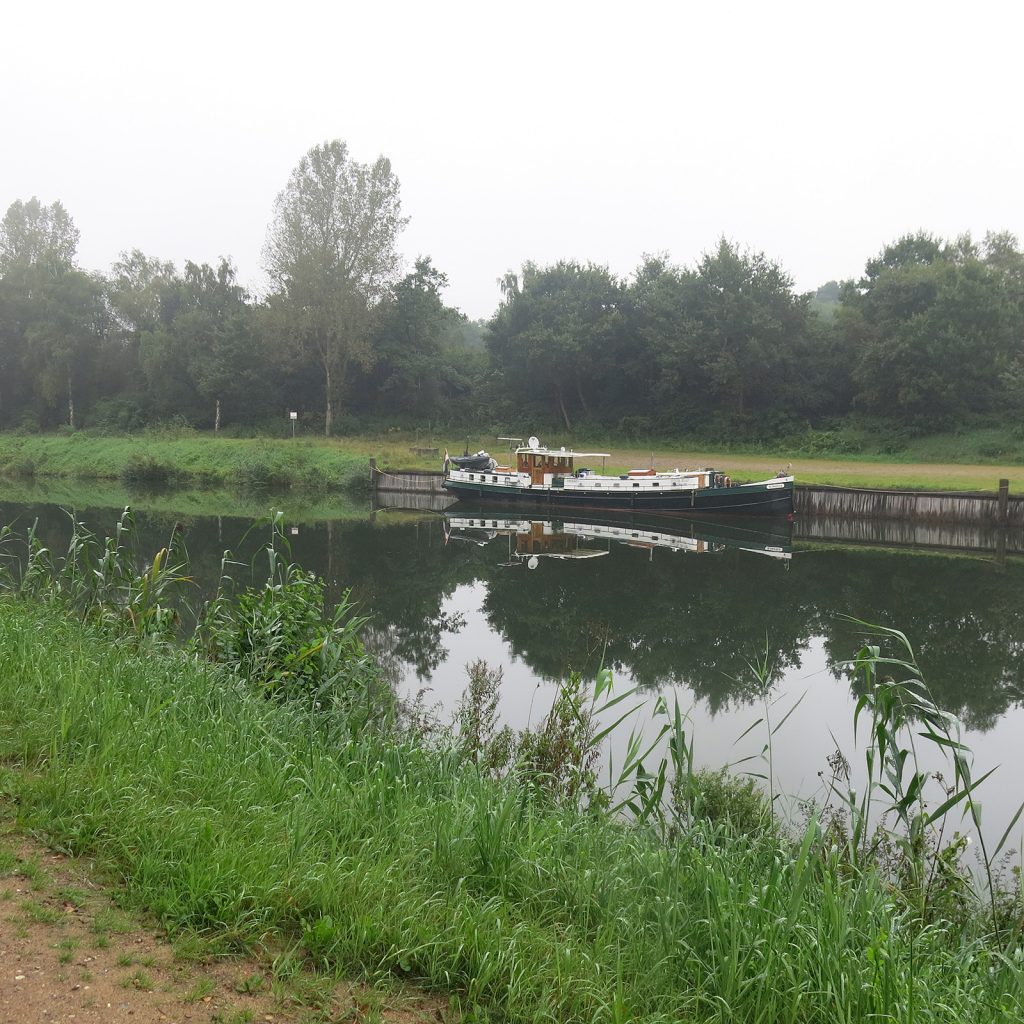 An der Holzspundwand von Grambek