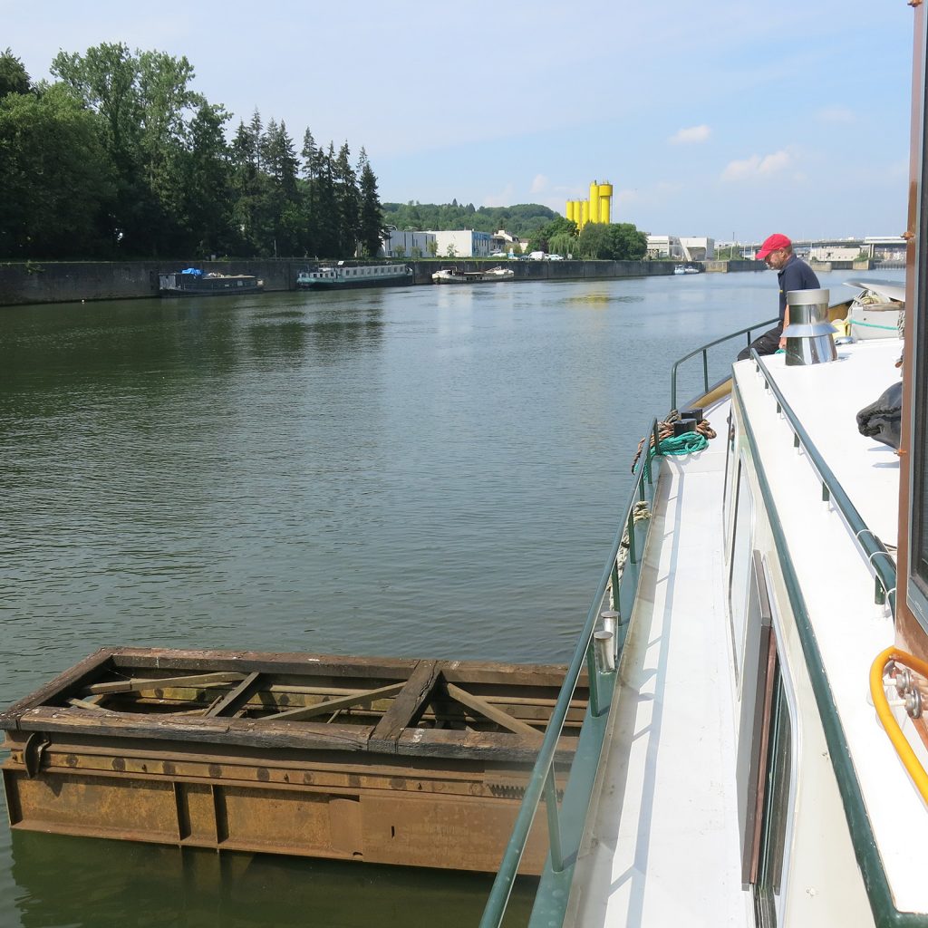 Zurück ins Wasser